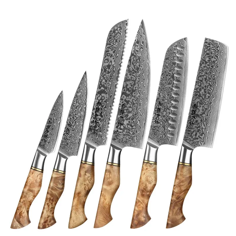 Kitchen Knife Set 67 Layers Damascus Japanese Steel Knives Accessories Professional Cooking Tools