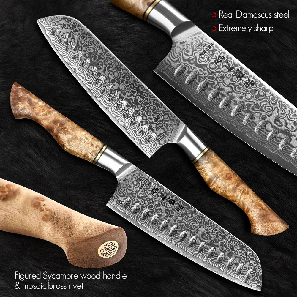 Kitchen Knife Set 67 Layers Damascus Japanese Steel Knives Accessories Professional Cooking Tools