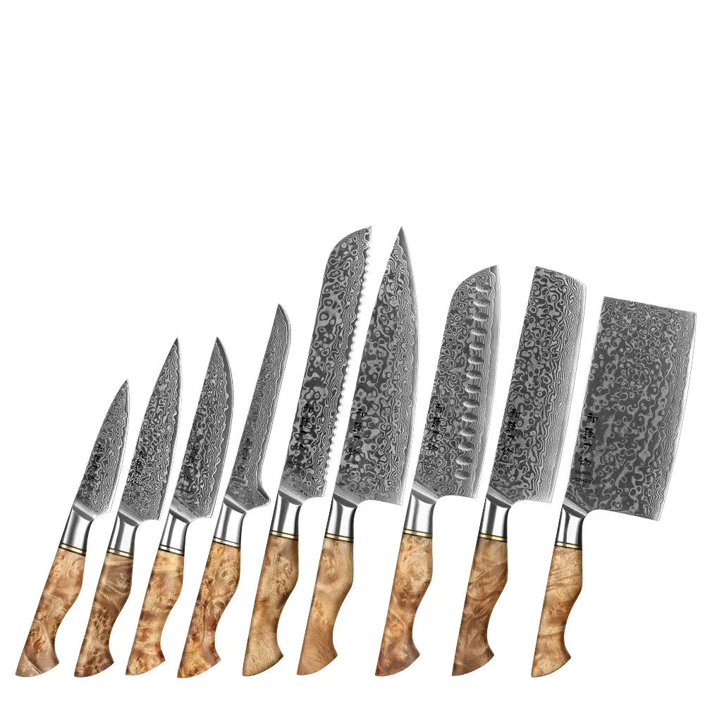 Kitchen Knife Set 67 Layers Damascus Japanese Steel Knives Accessories Professional Cooking Tools